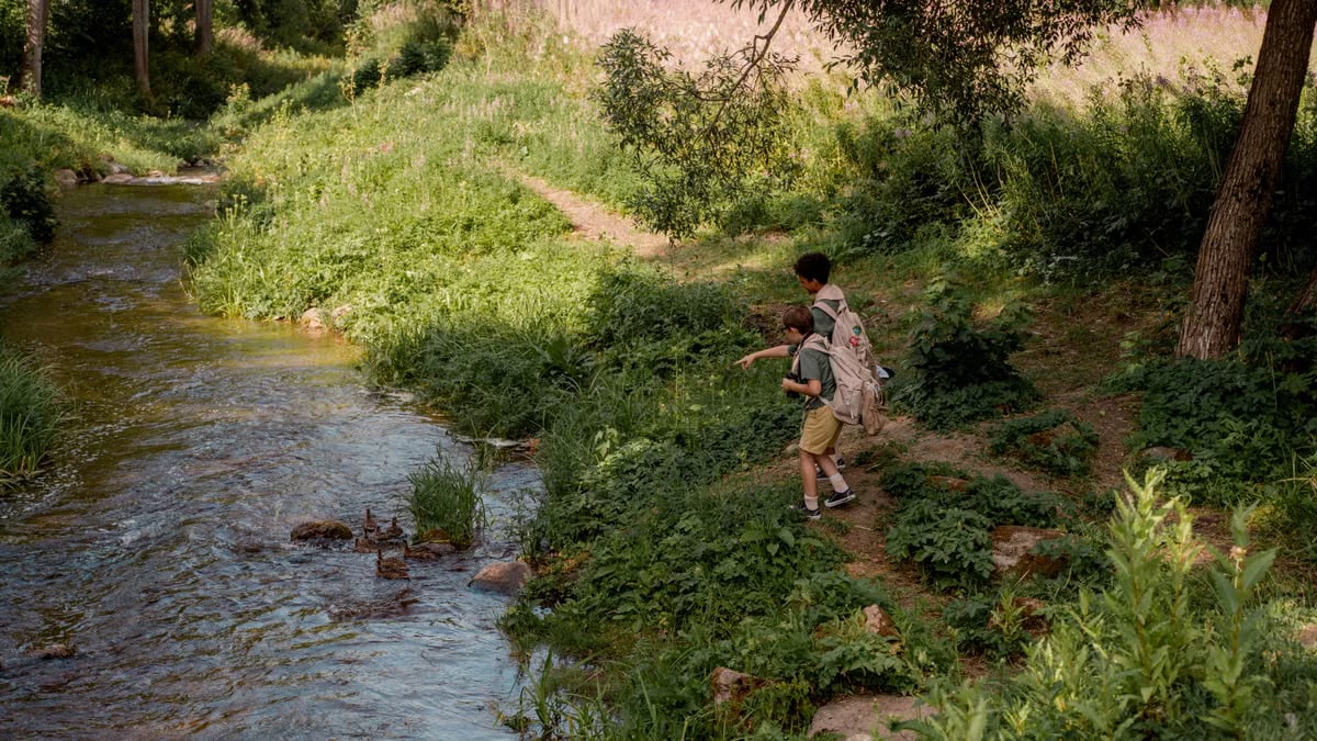 Two boys in scouting uniforms explore a forest path by a stream, enjoying nature.